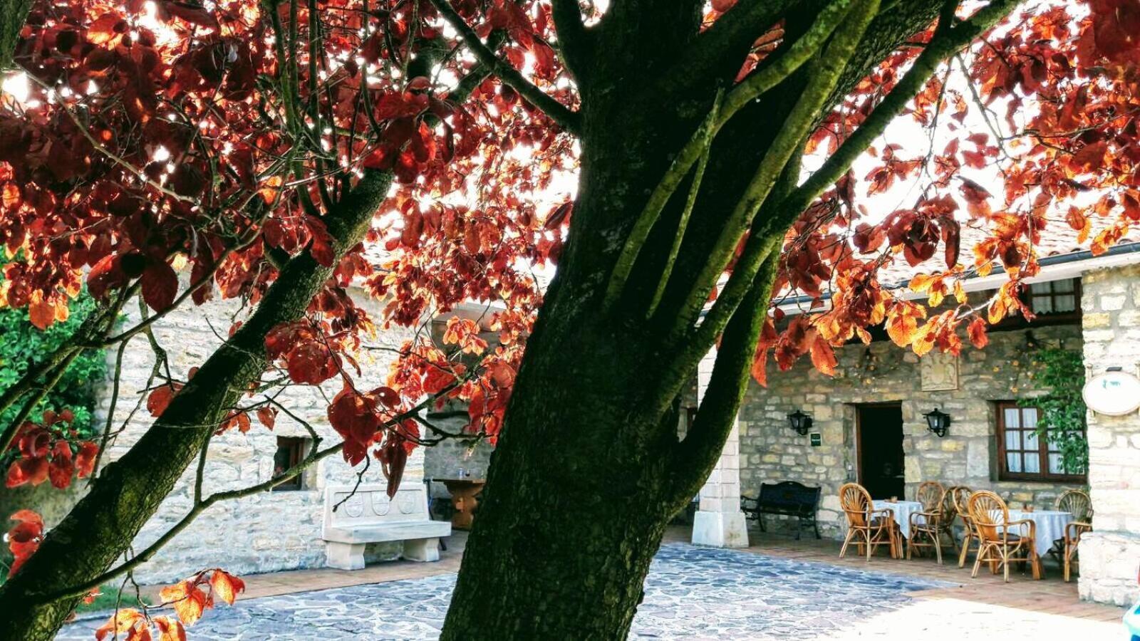 Posada Paz Hinojedo Kültér fotó
